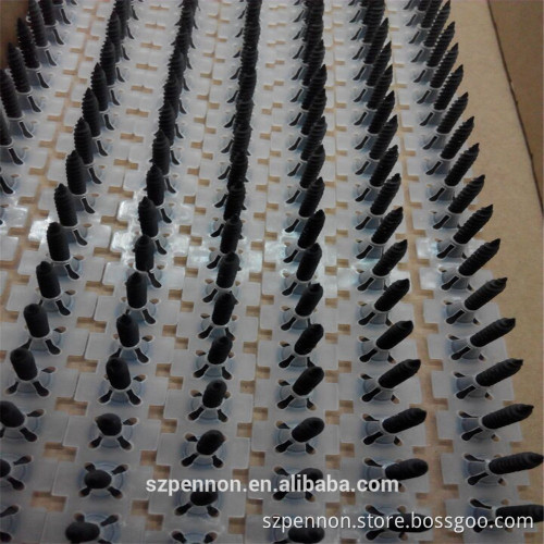 Black Drywall Screw